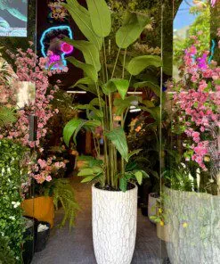 Oiseau du Paradis avec 2 bouquets arrangement 200 cm