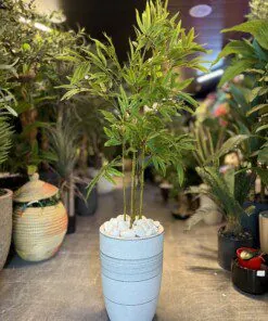 Bambou 110 cm
