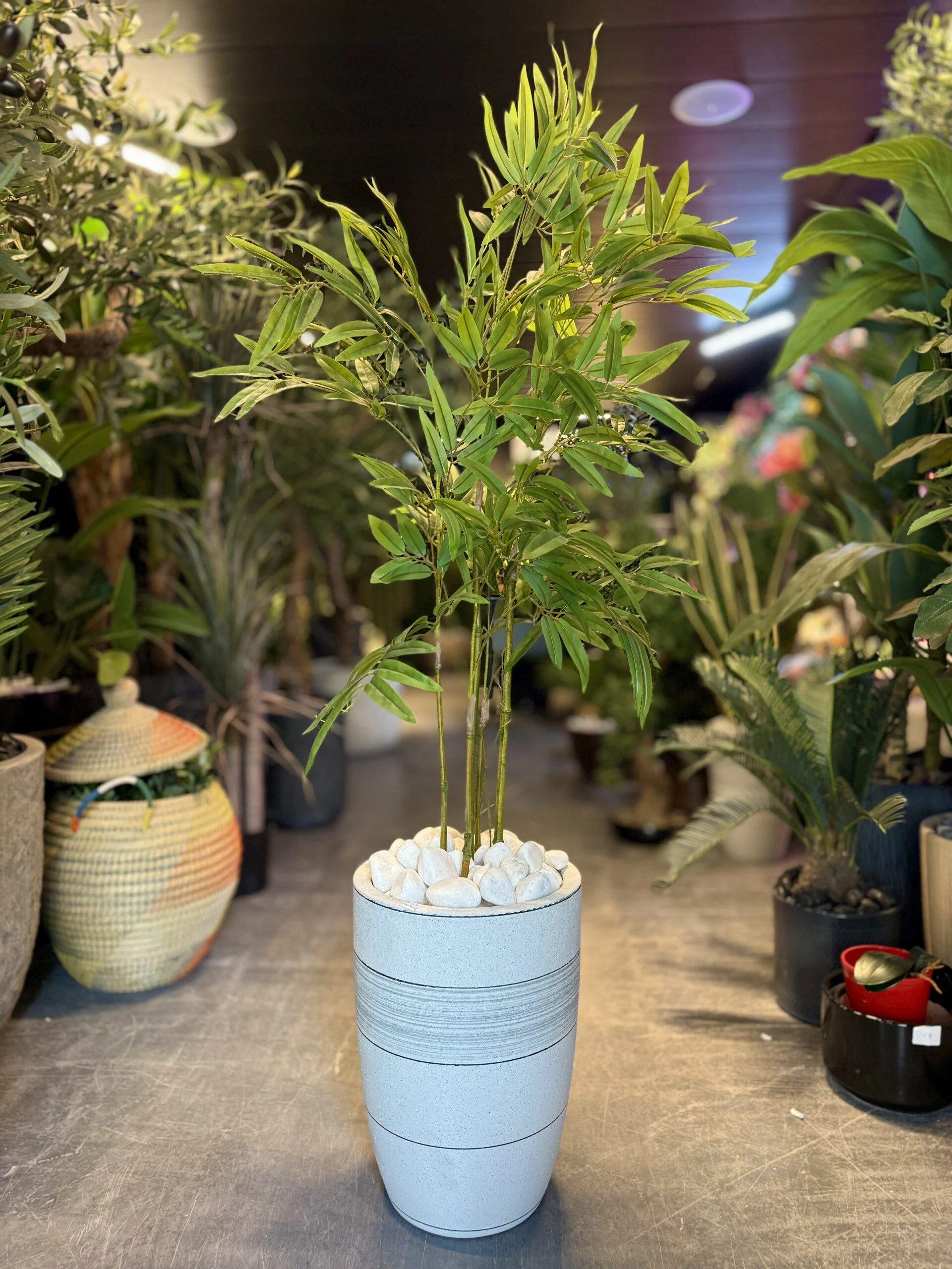 Bambou 110 cm