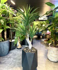 Palmier Yucca 3 têtes 120 cm
