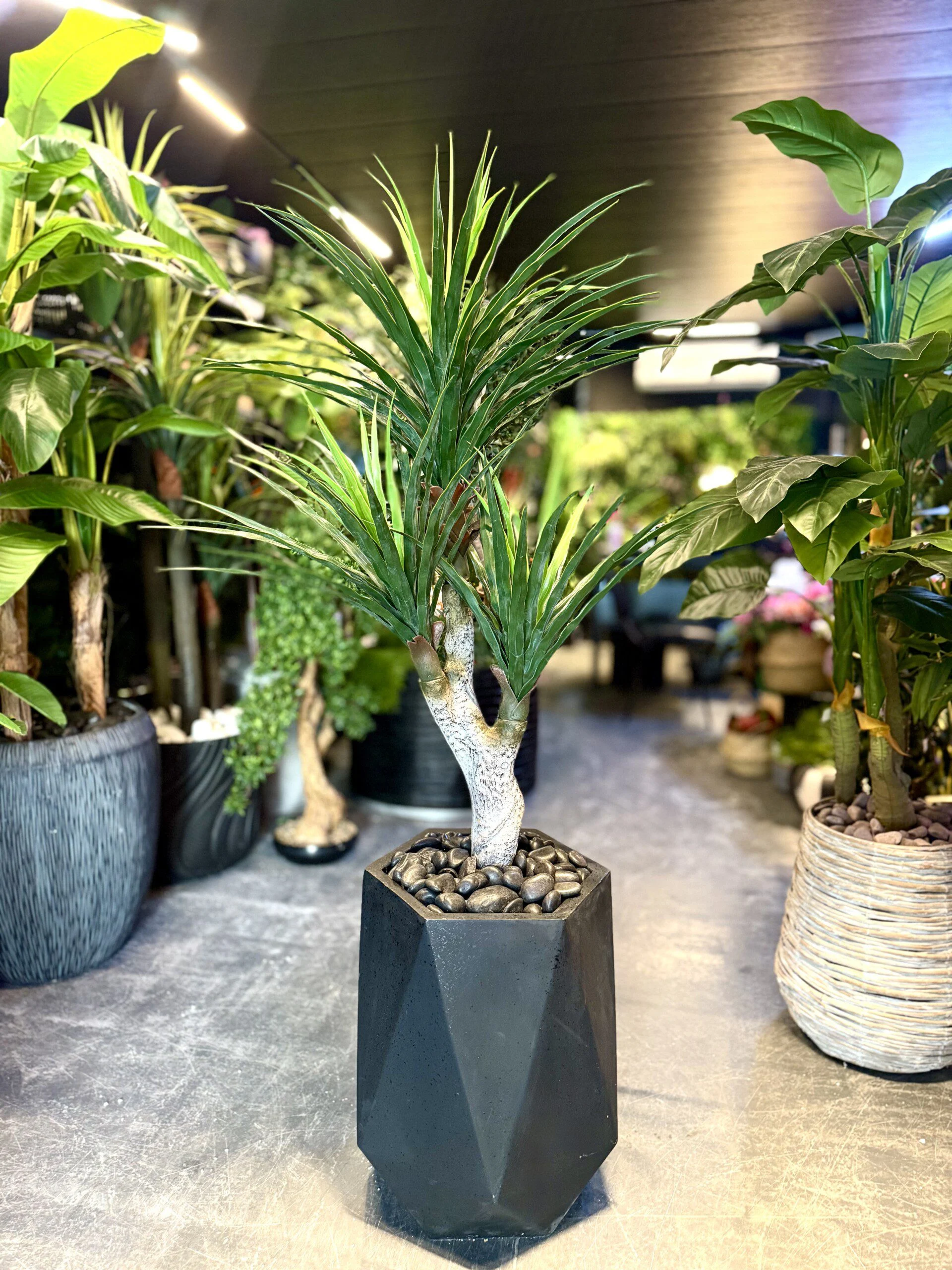 Palmier Yucca 3 têtes 120 cm