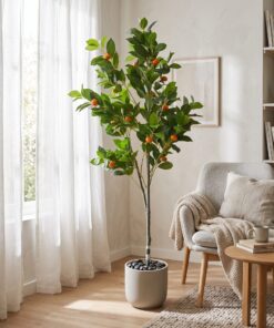 Kumquat Tree 140 cm styled in an interior — Neon Jungle Studios