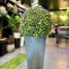 Boule de Buis Lavender 53 cm