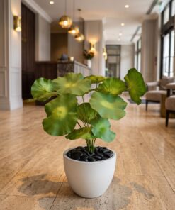 Lotus Plant 70 cm styled in an interior — Neon Jungle Studios