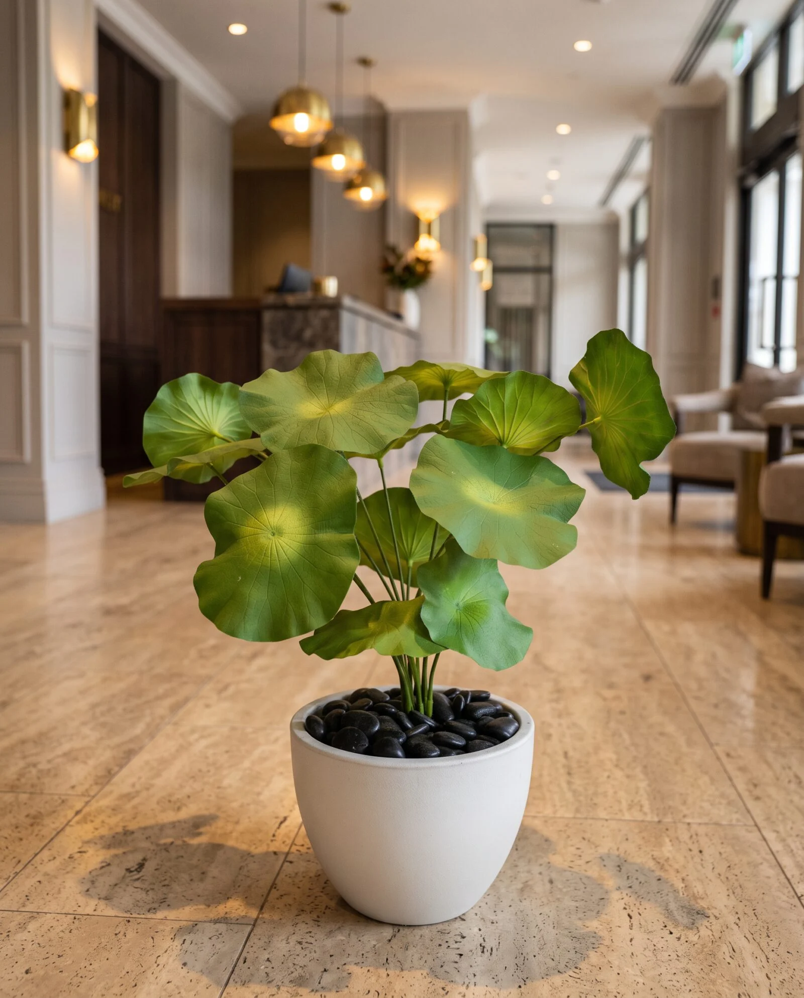 Lotus Plant 70 cm styled in an interior — Neon Jungle Studios