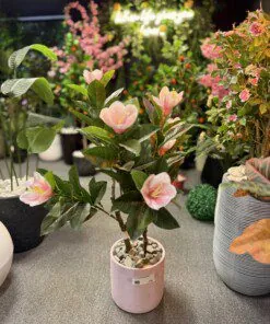 Magnolia Pink 100 cm