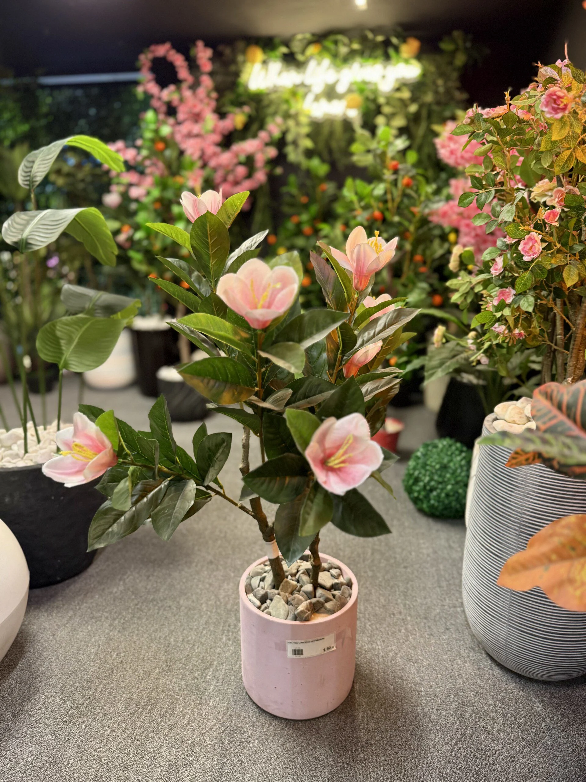 Magnolia Pink 100 cm