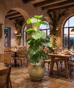 Monstera Deliciosa 140 cm styled in an interior — Neon Jungle Studios