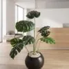 Monstera Deliciosa Tree 120 cm styled in an interior — Neon Jungle Studios