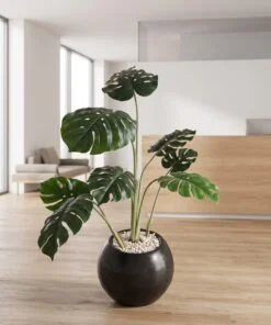 Monstera Deliciosa Tree 120 cm styled in an interior — Neon Jungle Studios