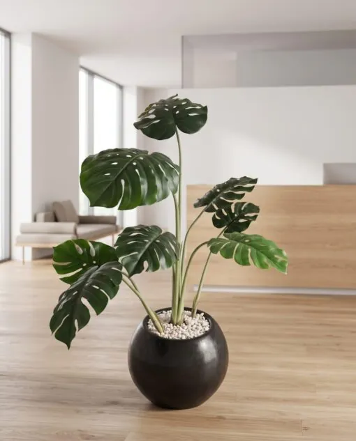 Monstera Deliciosa Tree 120 cm styled in an interior — Neon Jungle Studios
