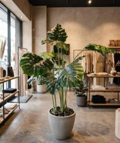 Monstera Deliciosa Tree 160 cm styled in an interior — Neon Jungle Studios