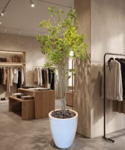 Nandina Tree 140 cm styled in an interior — Neon Jungle Studios
