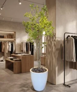 Nandina Tree 140 cm styled in an interior — Neon Jungle Studios