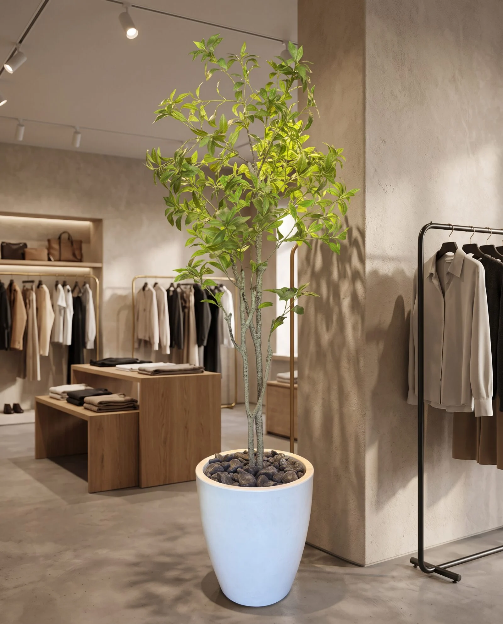 Nandina Tree 140 cm styled in an interior — Neon Jungle Studios