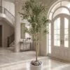 Olive Tree Fiber multiple Trunks 210 cm styled in an interior — Neon Jungle Studios