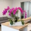 Orchid Arrangement with planter styled in an interior — Neon Jungle Studios