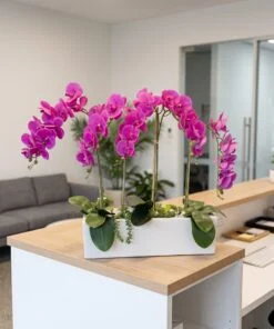 Orchid Arrangement with planter styled in an interior — Neon Jungle Studios