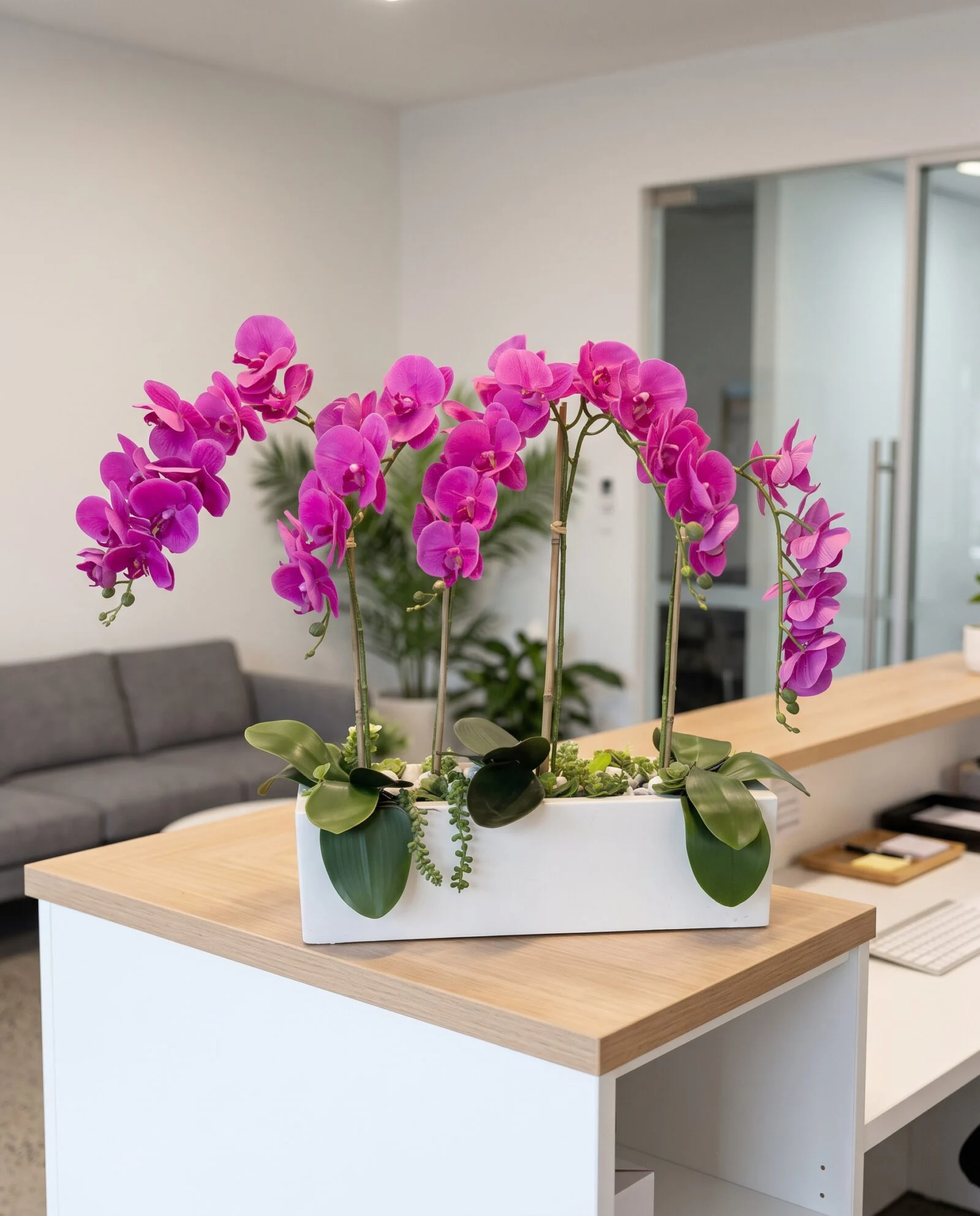 Orchid Arrangement with planter styled in an interior — Neon Jungle Studios