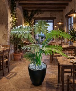 Philodendron Xanadu Tree styled in an interior — Neon Jungle Studios