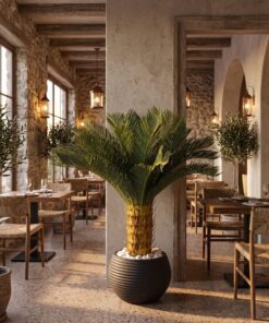 Sago Palm 100 cm styled in an interior — Neon Jungle Studios
