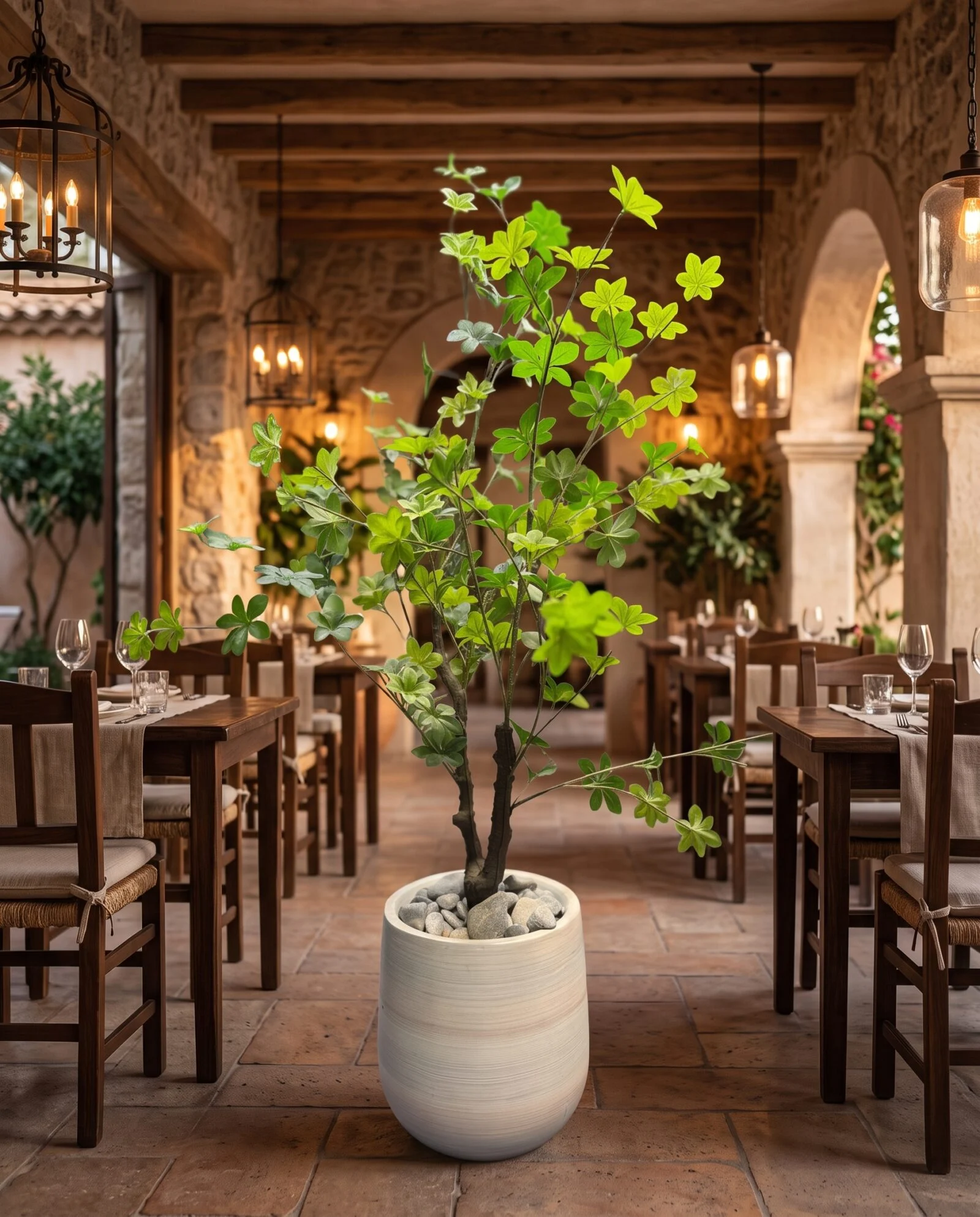Schefflera Tree 110 cm styled in an interior — Neon Jungle Studios