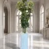 Schefflera Tree 150 cm styled in an interior — Neon Jungle Studios
