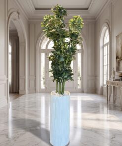 Schefflera Tree 150 cm styled in an interior — Neon Jungle Studios