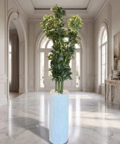 Schefflera Tree 150 cm styled in an interior — Neon Jungle Studios