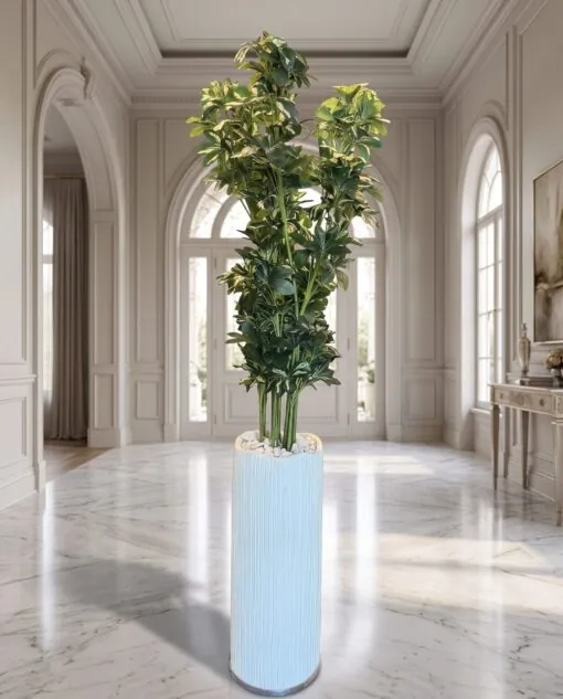 Schefflera Tree 150 cm styled in an interior — Neon Jungle Studios