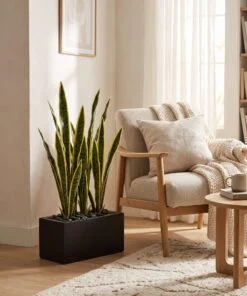 Snake Plant 9 stems 65 cm with planter styled in an interior — Neon Jungle Studios