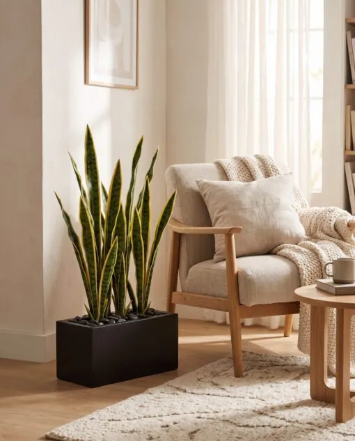 Snake Plant 9 stems 65 cm with planter styled in an interior — Neon Jungle Studios