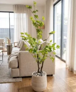 Texas Ebony Tree styled in an interior — Neon Jungle Studios