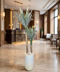 Yucca Palm 2 Trunks 160 cm styled in an interior — Neon Jungle Studios