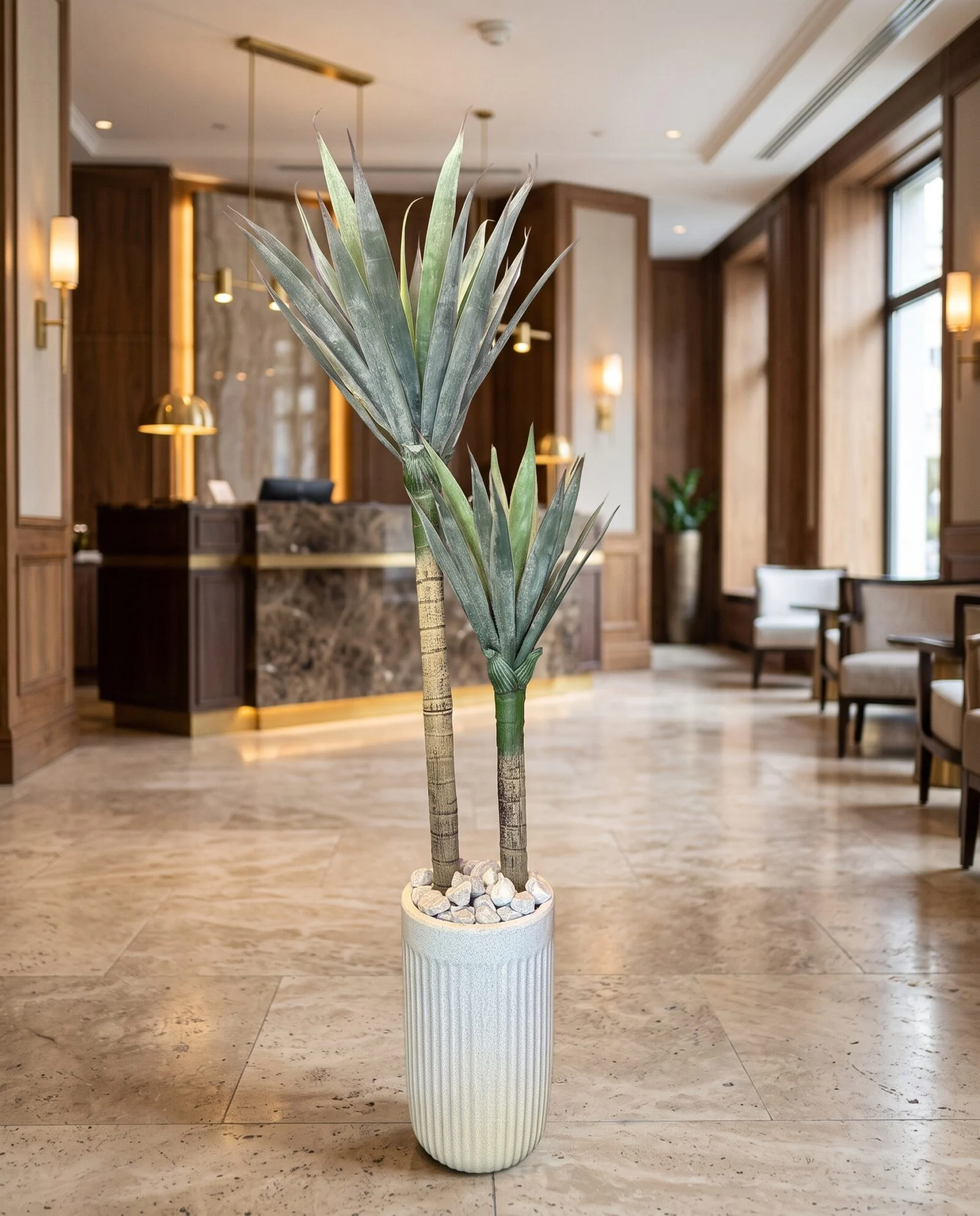 Yucca Palm 2 Trunks 160 cm styled in an interior — Neon Jungle Studios