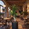 Yucca Palm 3 heads 120 cm styled in an interior — Neon Jungle Studios