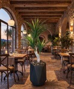 Yucca Palm 3 heads 120 cm styled in an interior — Neon Jungle Studios