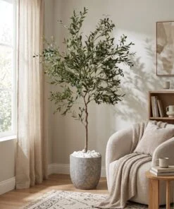 Custom Olive Tree 170 cm styled in an interior — Neon Jungle Studios