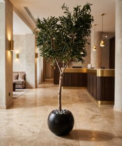 Custom Olive Tree 190*110 styled in an interior — Neon Jungle Studios