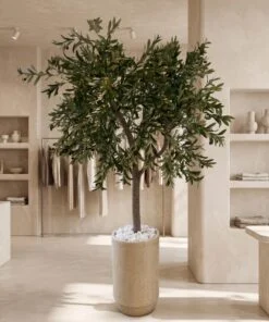 Custom Olive Tree 190*150 styled in an interior — Neon Jungle Studios