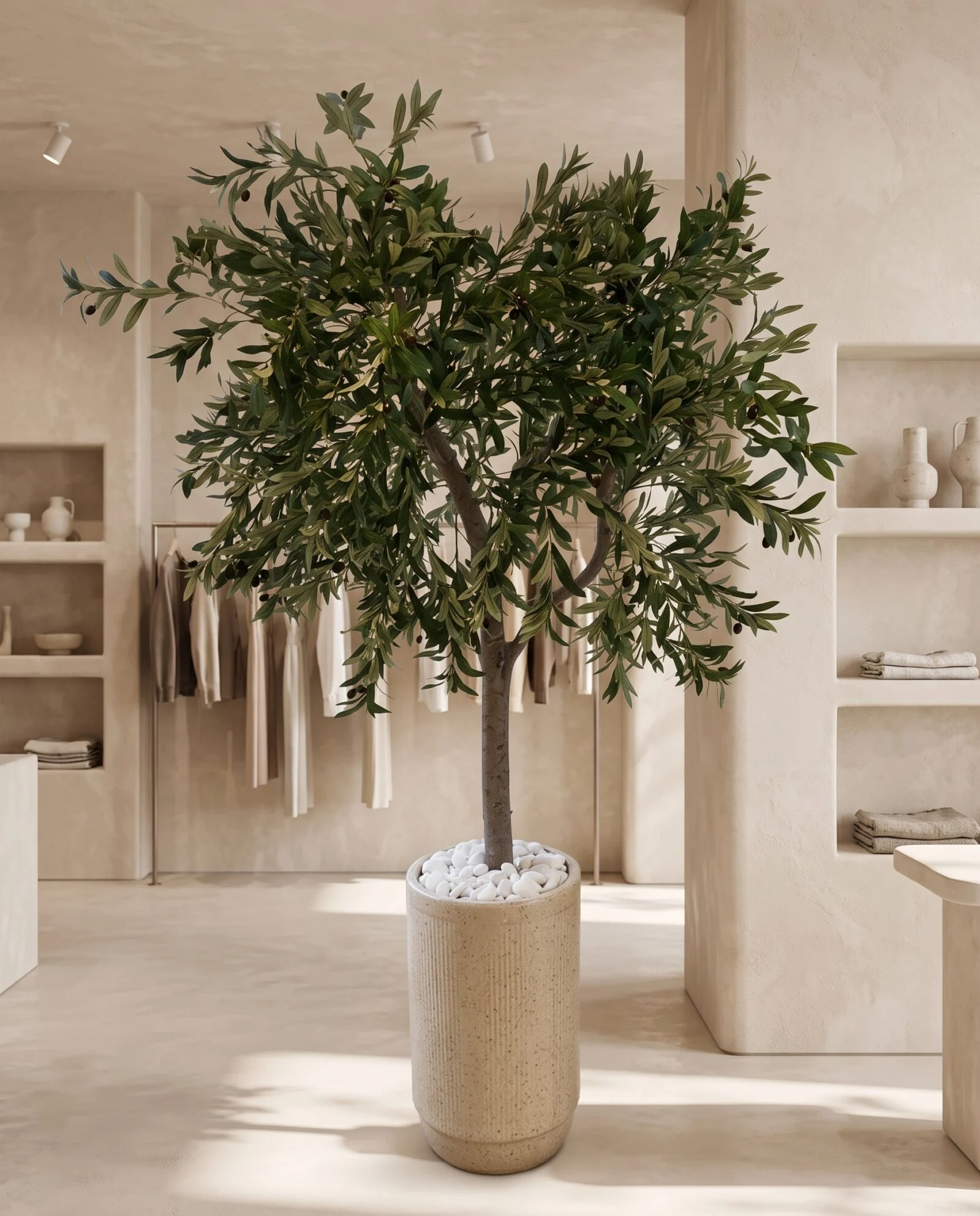 Custom Olive Tree 190*150 styled in an interior — Neon Jungle Studios