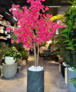 Bougainvillier sur mesure 150×90 cm