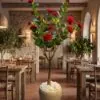 Camelia Plant Red 120 cm styled in an interior — Neon Jungle Studios