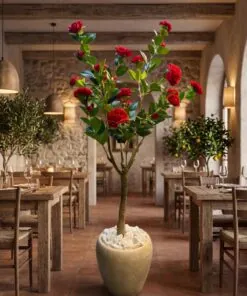 Camelia Plant Red 120 cm styled in an interior — Neon Jungle Studios