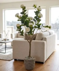 Camelia Plant White 120 cm styled in an interior — Neon Jungle Studios