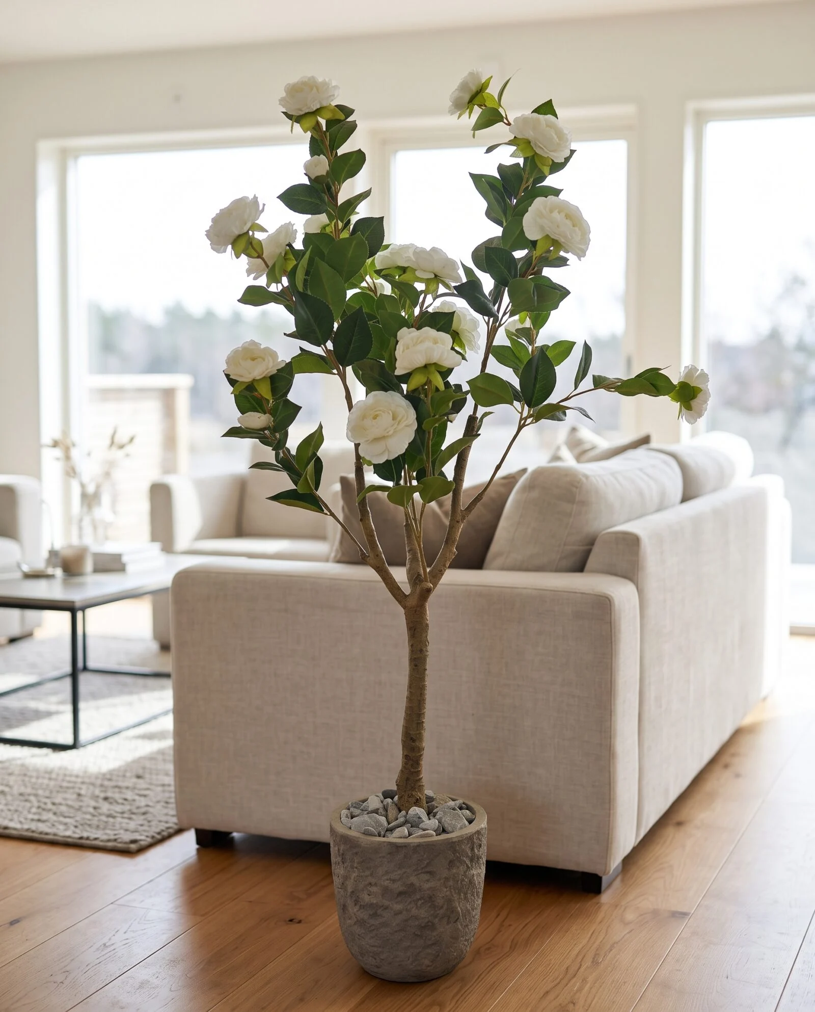 Camelia Plant White 120 cm styled in an interior — Neon Jungle Studios