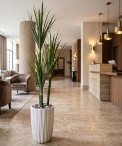 Dracaena Frangrans styled in an interior — Neon Jungle Studios
