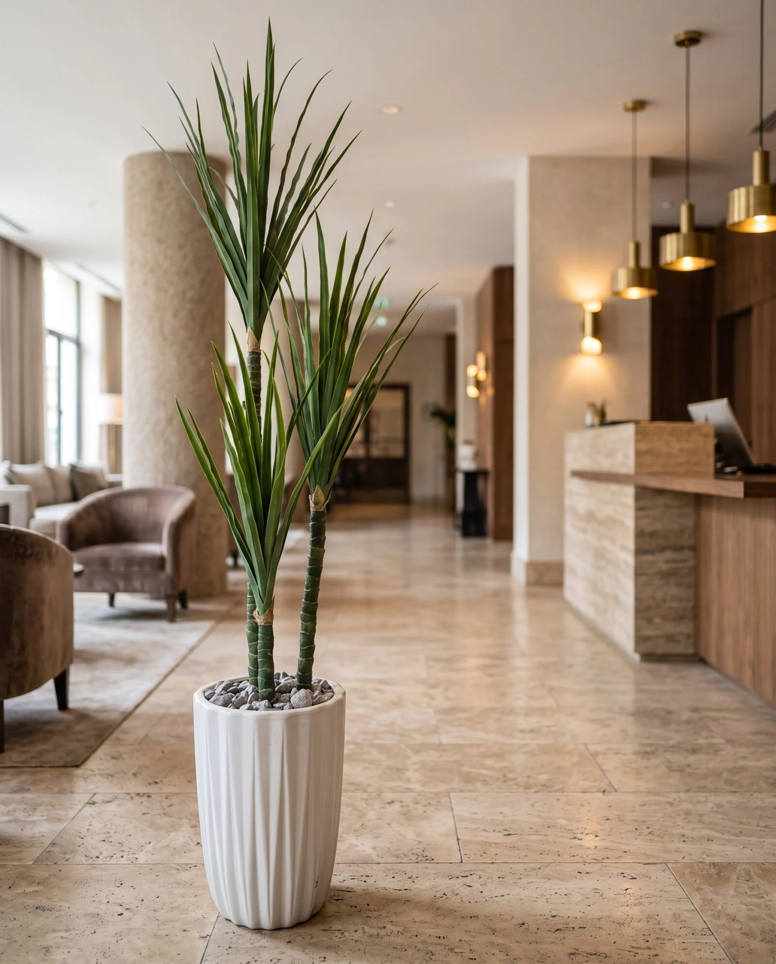 Dracaena Frangrans styled in an interior — Neon Jungle Studios