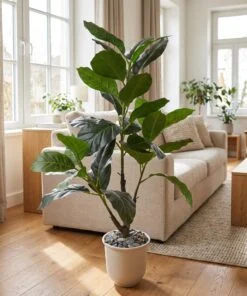 Ficus Lyrata 100 cm with pot styled in an interior — Neon Jungle Studios