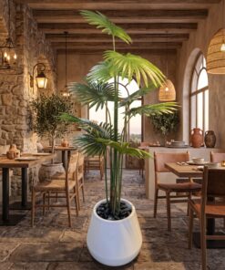 Fan Palm styled in an interior — Neon Jungle Studios